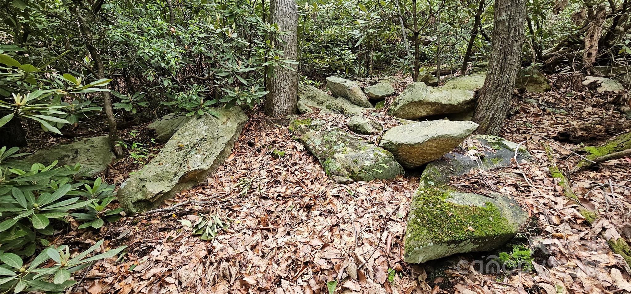 Tbd Ridge Cove Drive Marion NC 28752