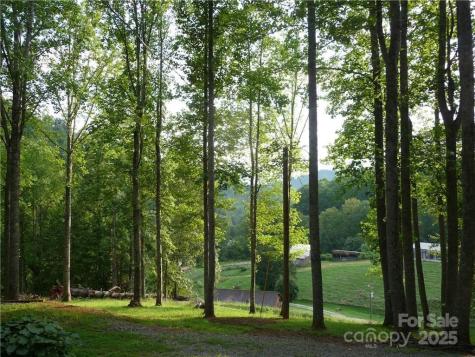 0 Joe Shoemaker Road Vilas NC 28692