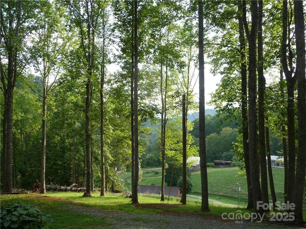 0 Joe Shoemaker Road Vilas NC 28692