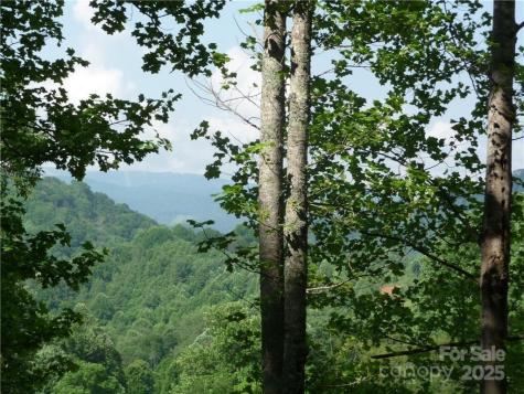 0 Joe Shoemaker Road Vilas NC 28692