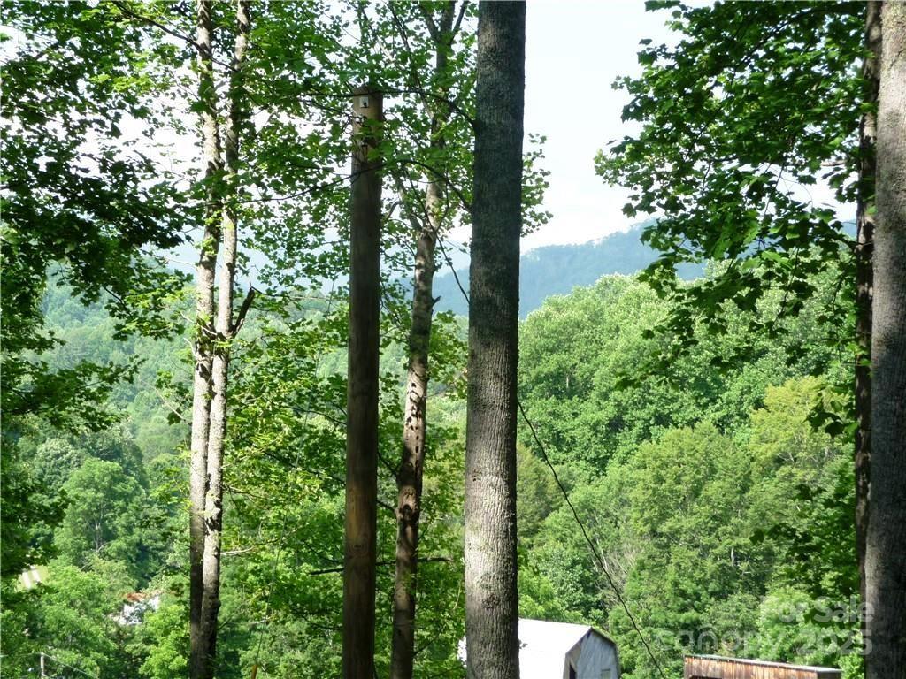 0 Joe Shoemaker Road Vilas NC 28692