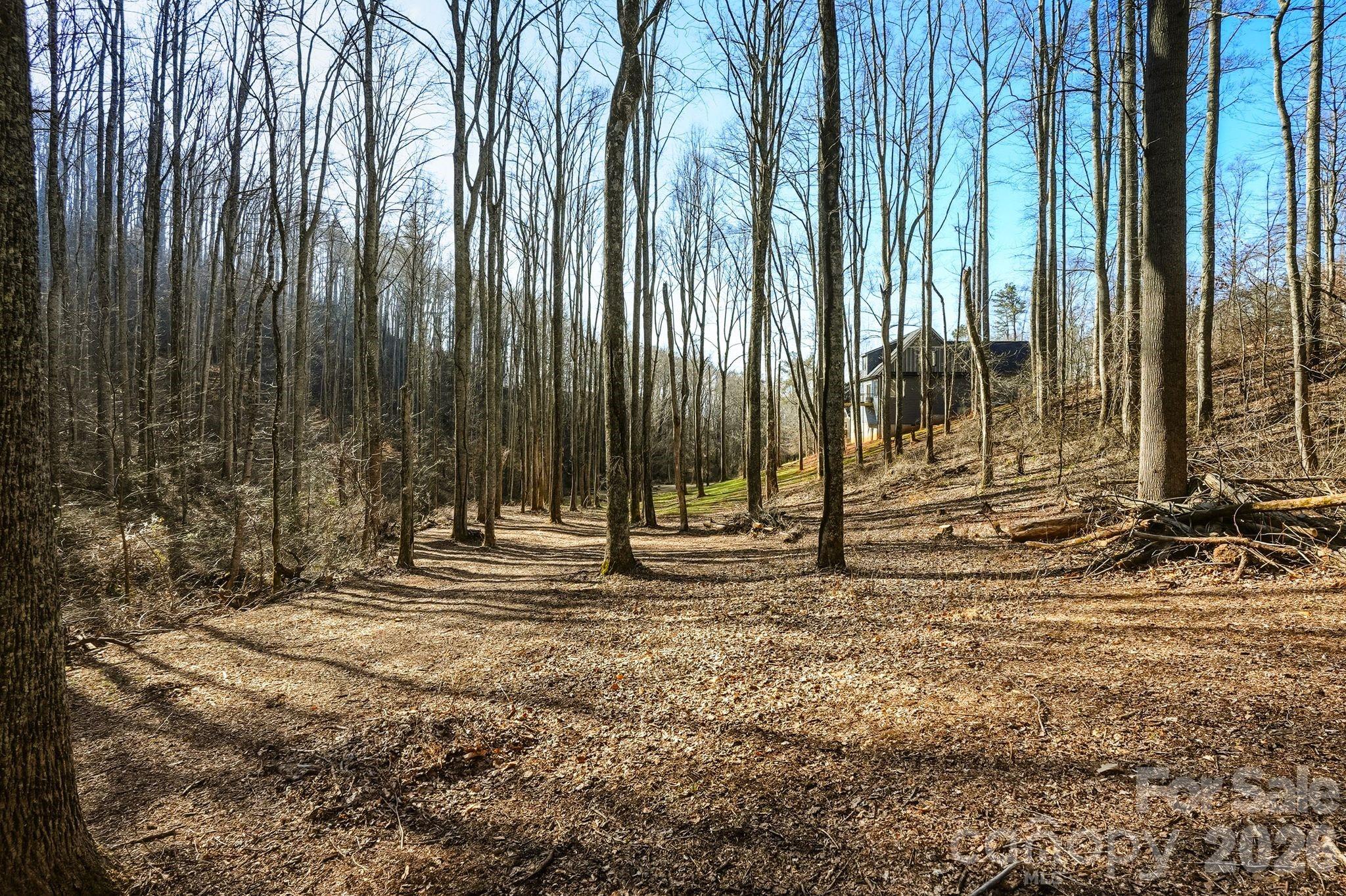 67 Bamboo Trail Candler NC 28715