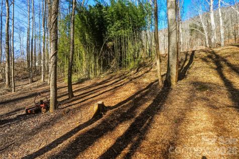 67 Bamboo Trail Candler NC 28715