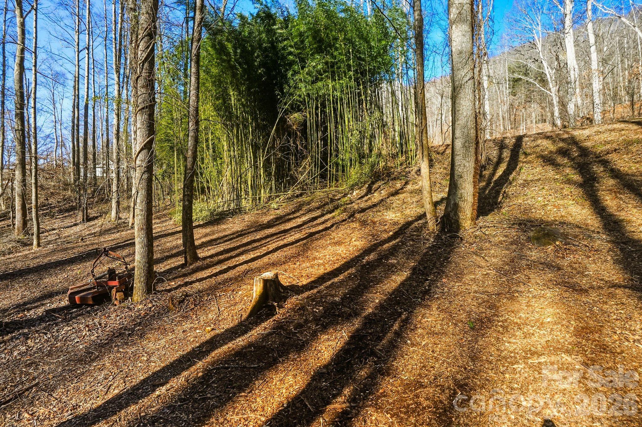 67 Bamboo Trail Candler NC 28715