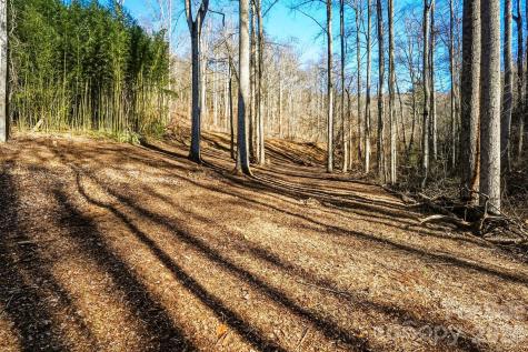 67 Bamboo Trail Candler NC 28715