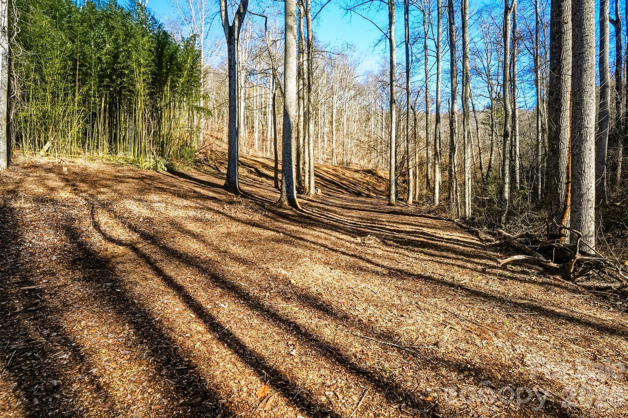 67 Bamboo Trail Candler NC 28715