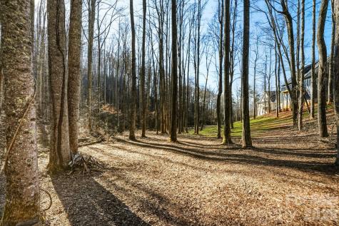 67 Bamboo Trail Candler NC 28715