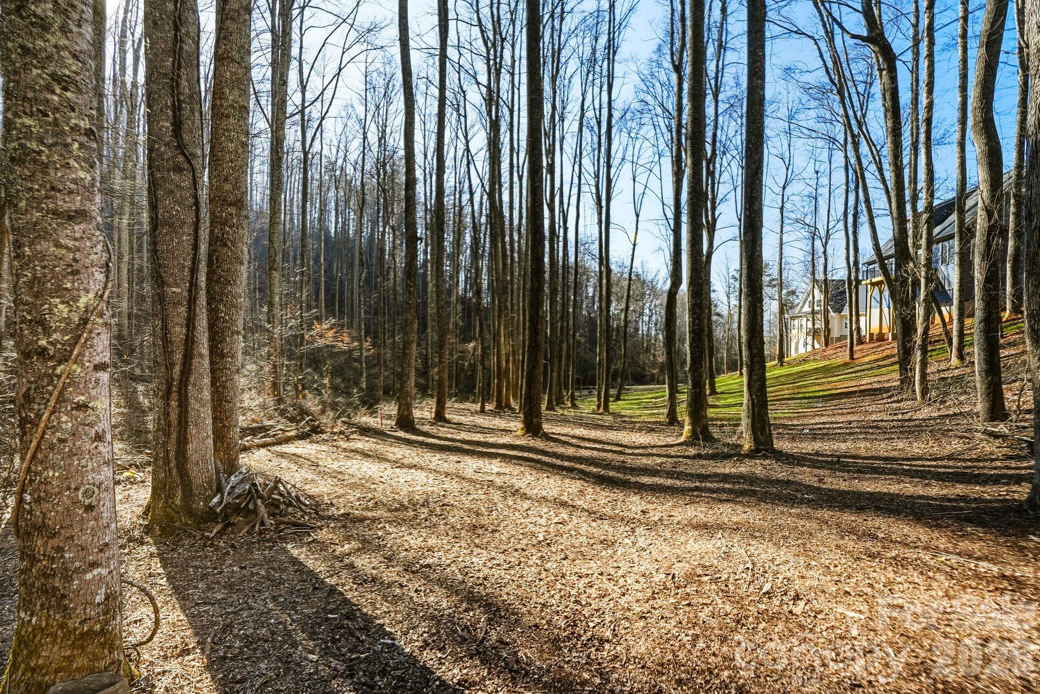 67 Bamboo Trail Candler NC 28715