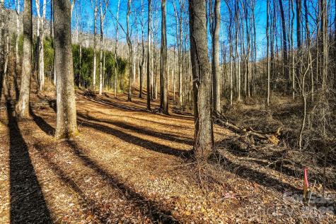 67 Bamboo Trail Candler NC 28715