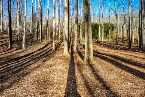 67 Bamboo Trail Candler NC 28715