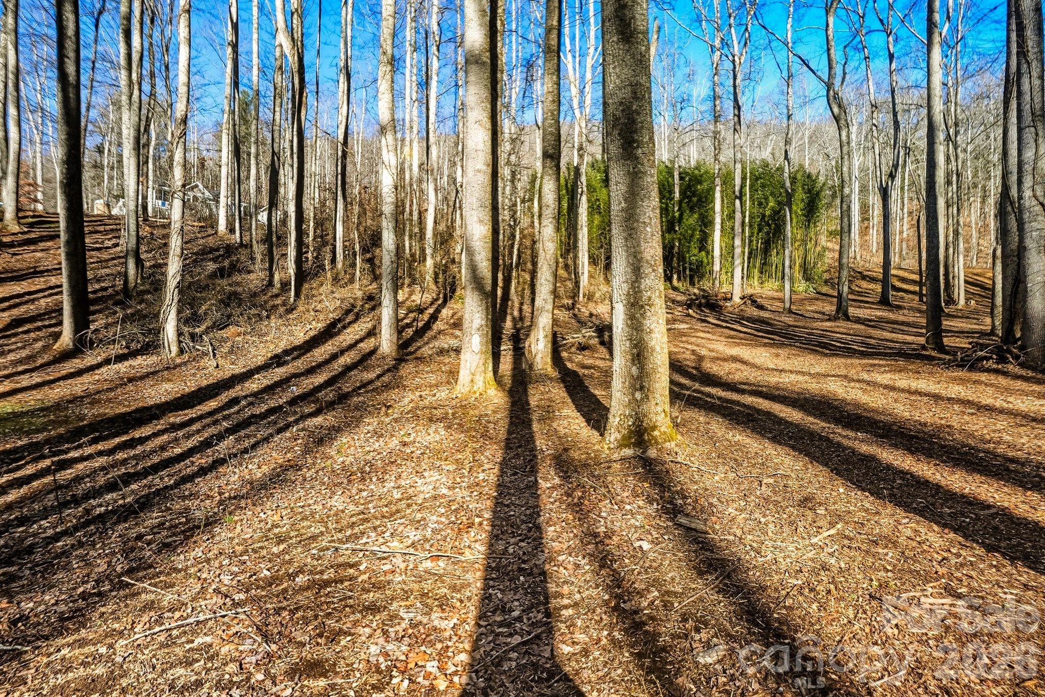 67 Bamboo Trail Candler NC 28715
