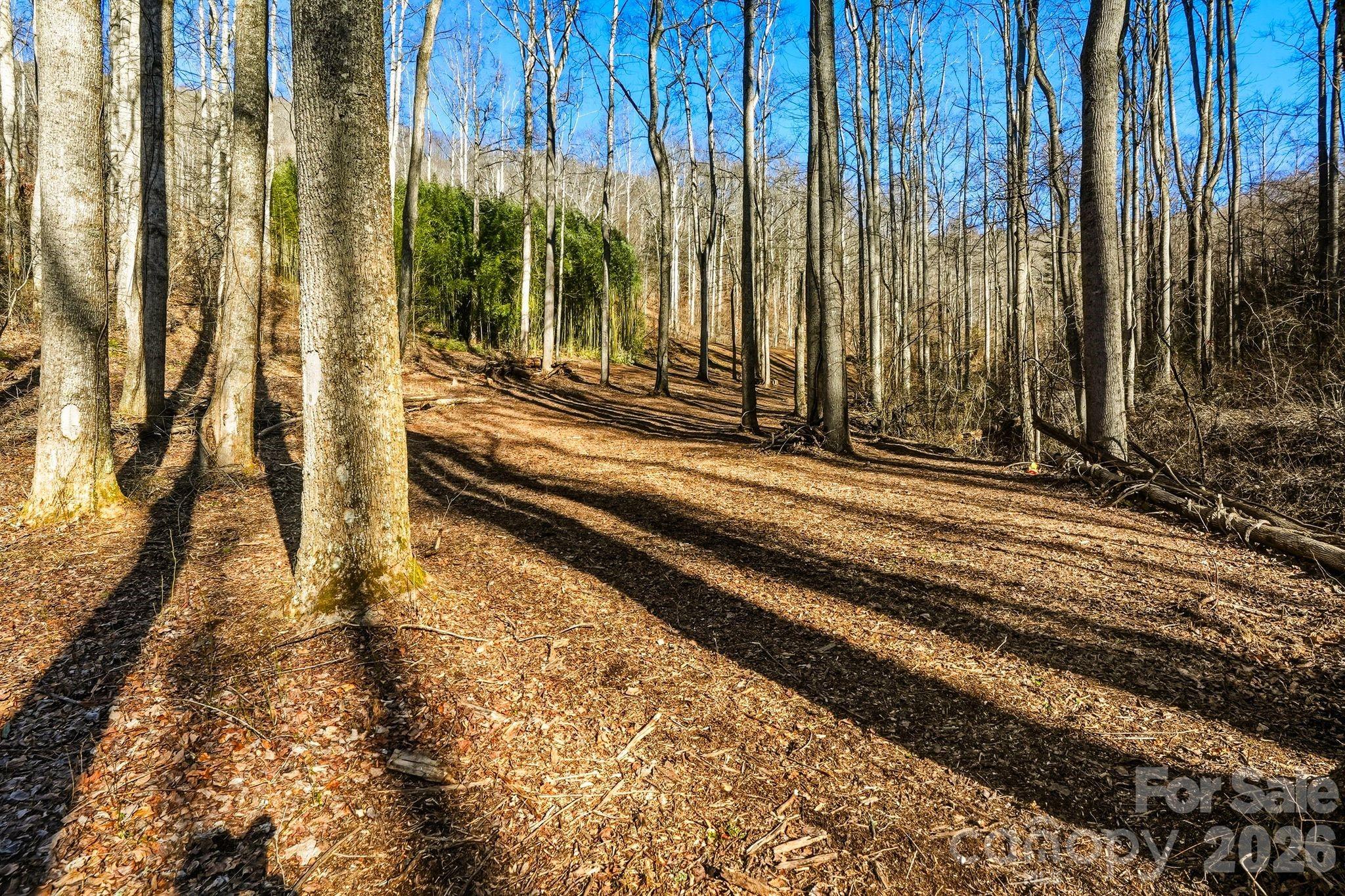 67 Bamboo Trail Candler NC 28715