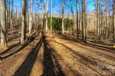 67 Bamboo Trail Candler NC 28715