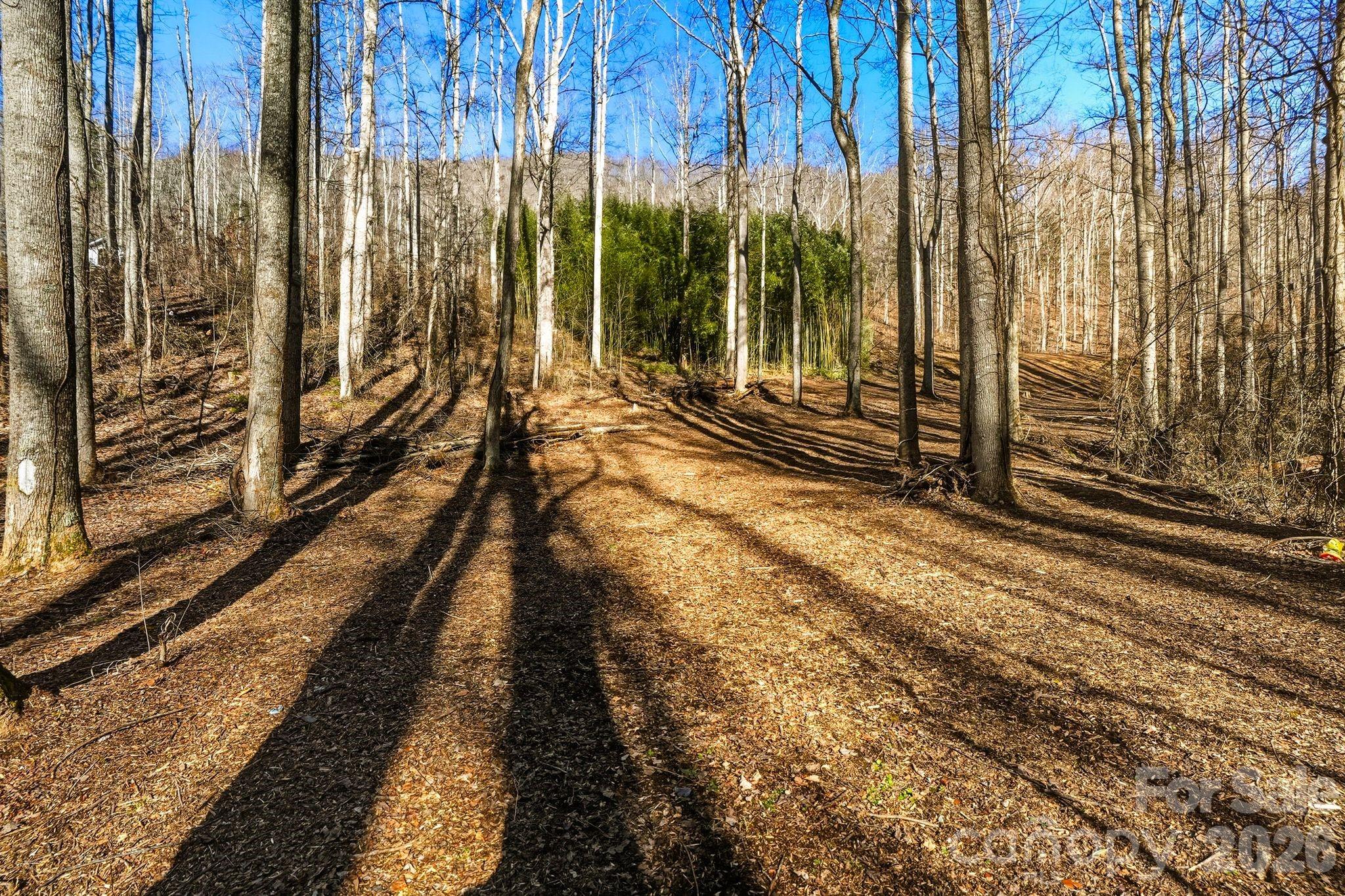 67 Bamboo Trail Candler NC 28715