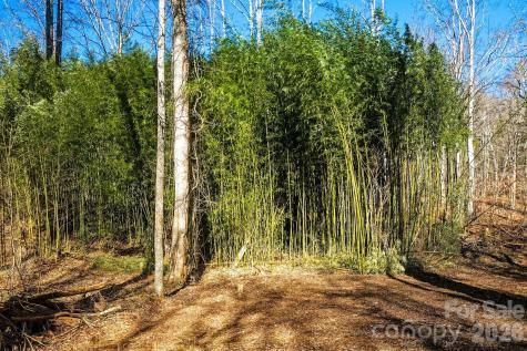 67 Bamboo Trail Candler NC 28715