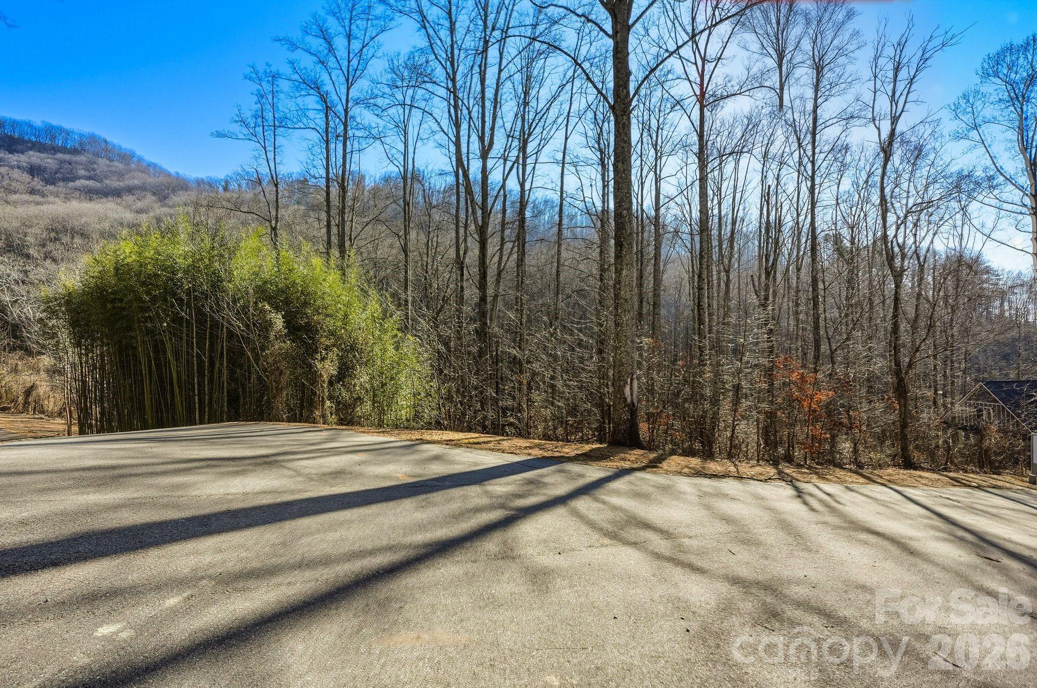 67 Bamboo Trail Candler NC 28715