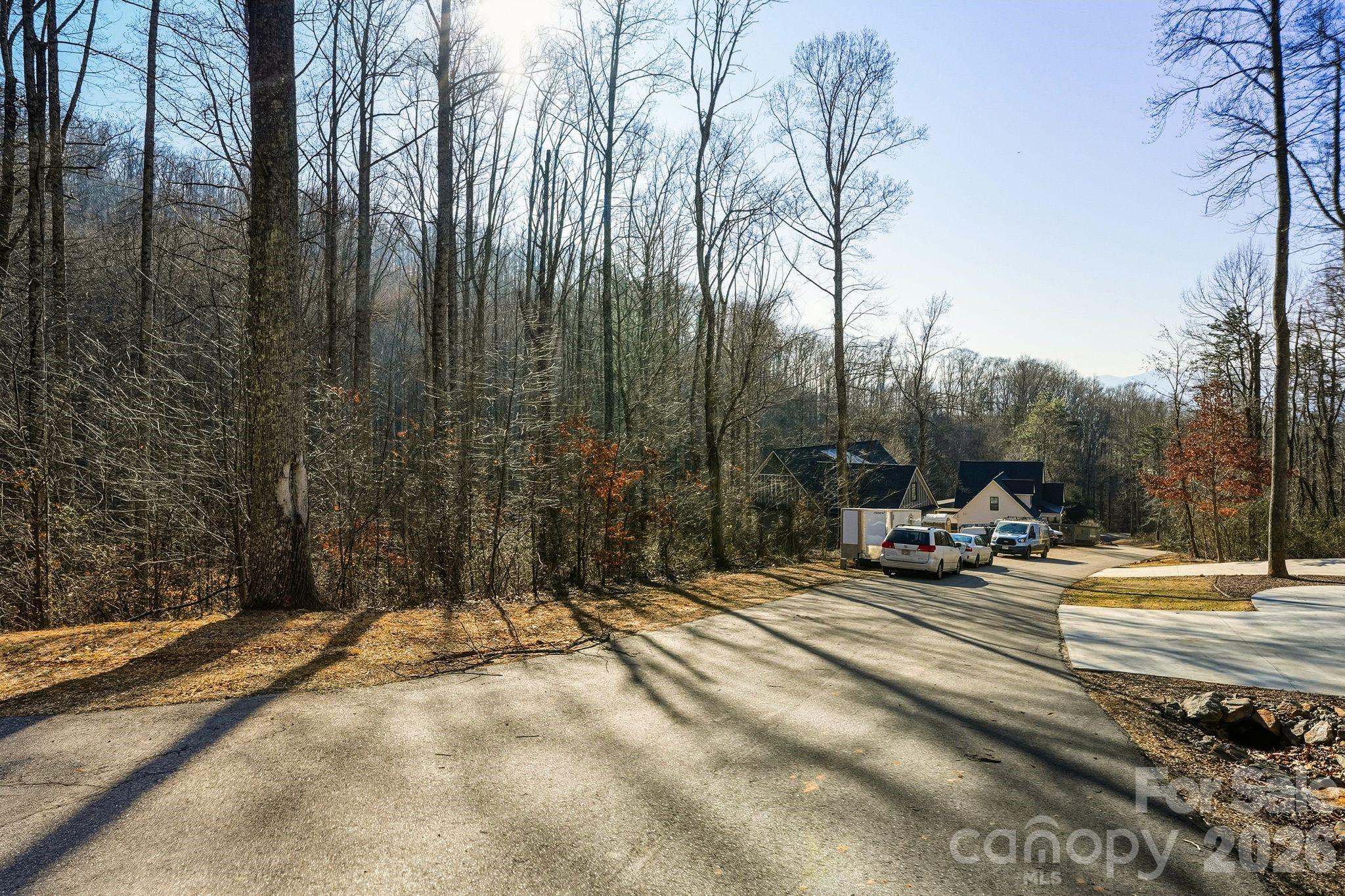 67 Bamboo Trail Candler NC 28715