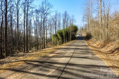 67 Bamboo Trail Candler NC 28715