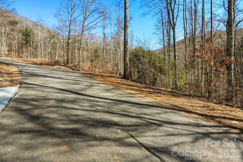 67 Bamboo Trail Candler NC 28715