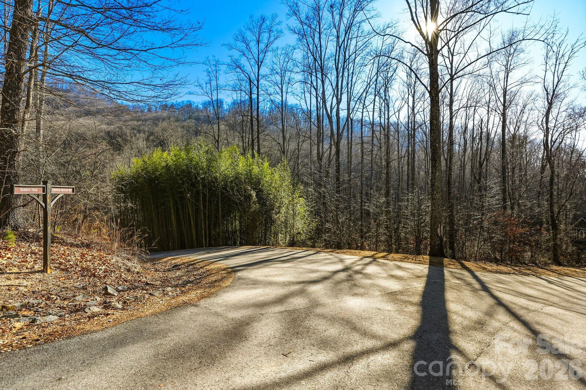 67 Bamboo Trail Candler NC 28715