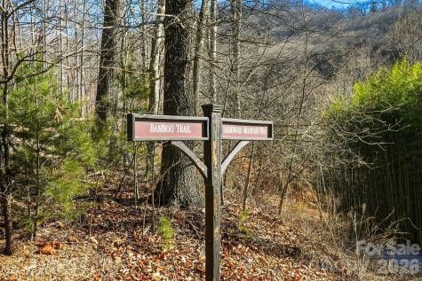 67 Bamboo Trail Candler NC 28715