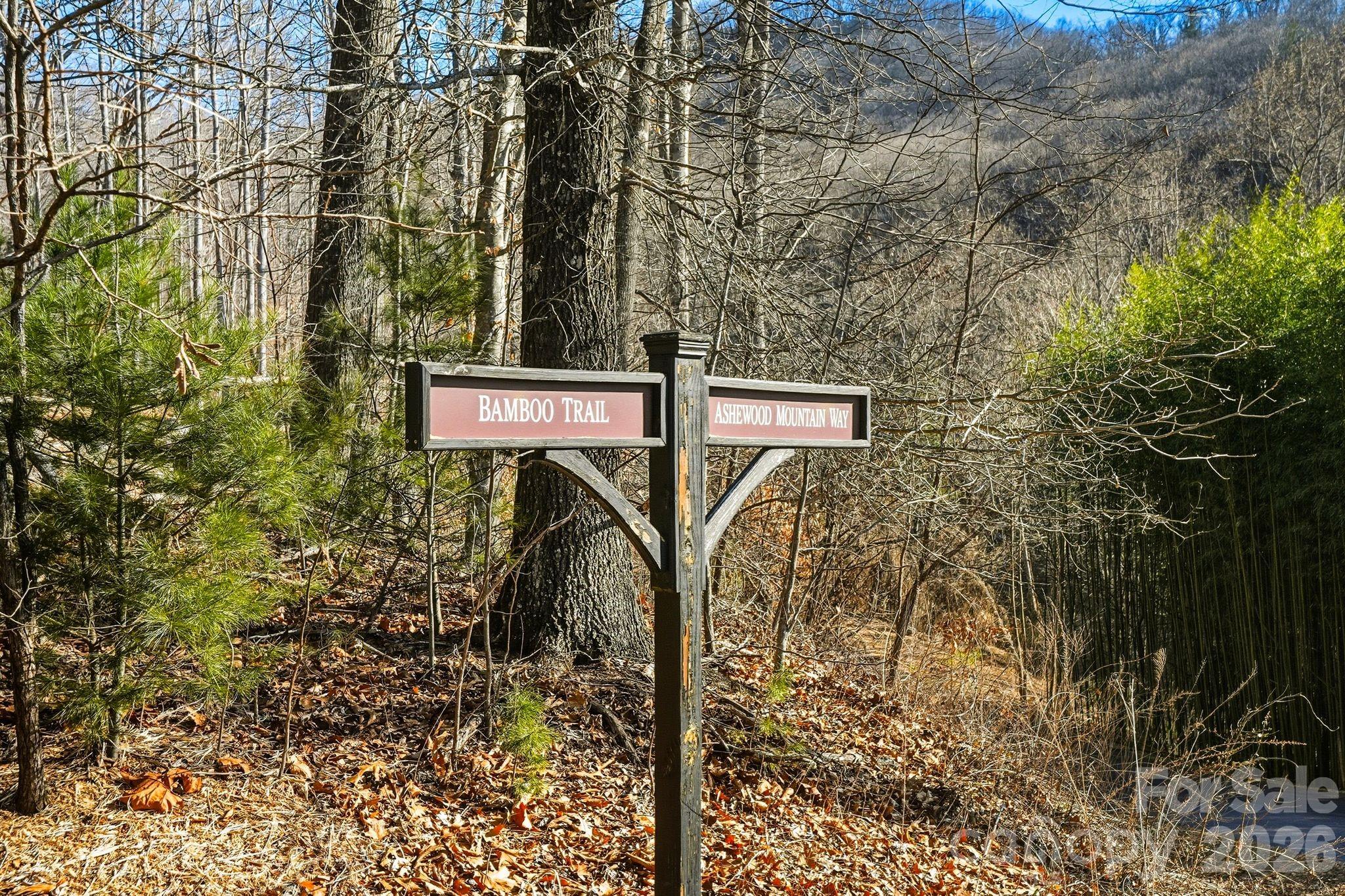 67 Bamboo Trail Candler NC 28715