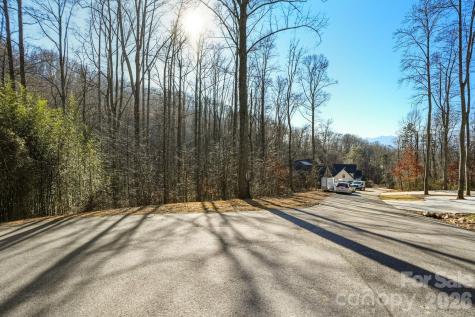 67 Bamboo Trail Candler NC 28715