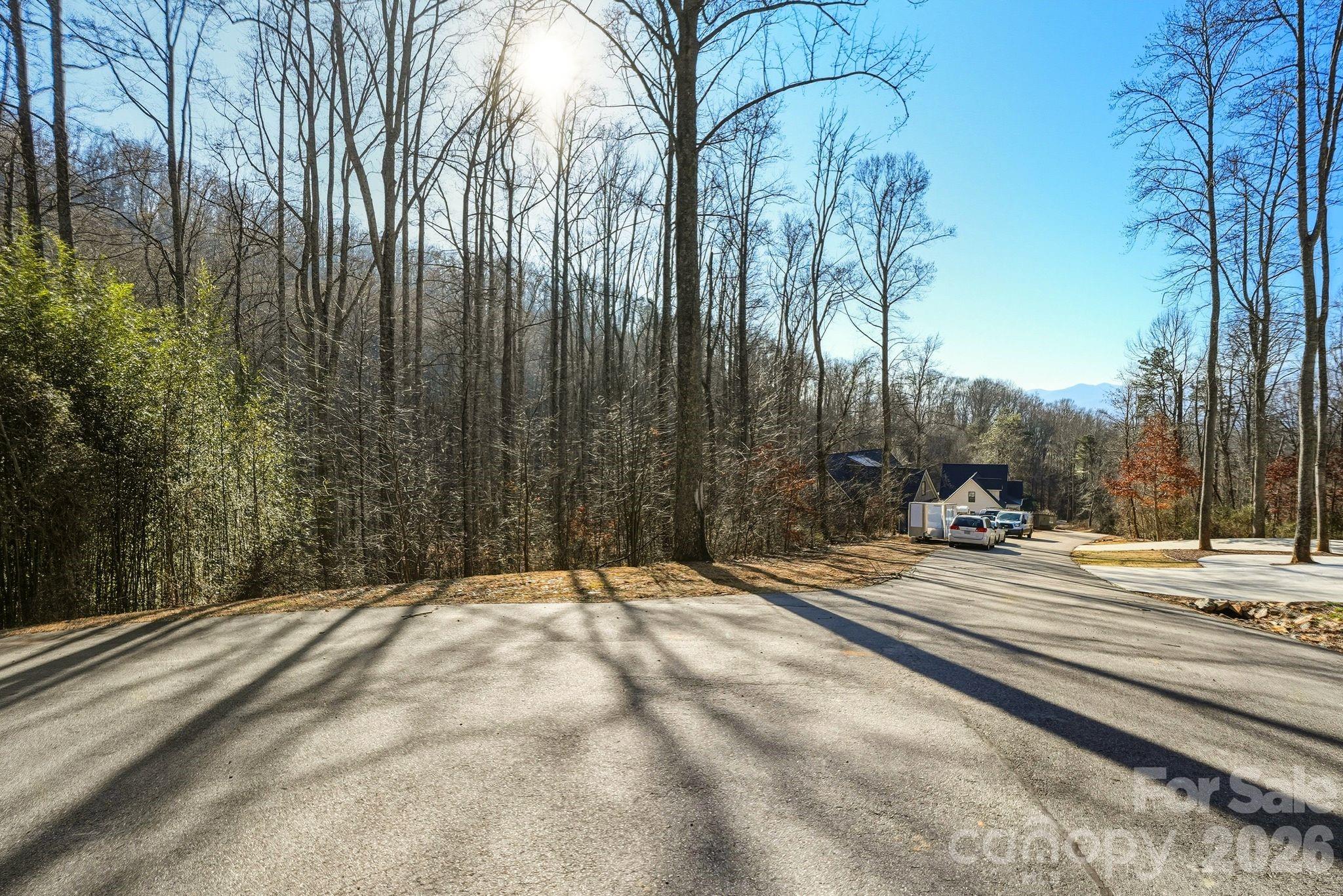 67 Bamboo Trail Candler NC 28715