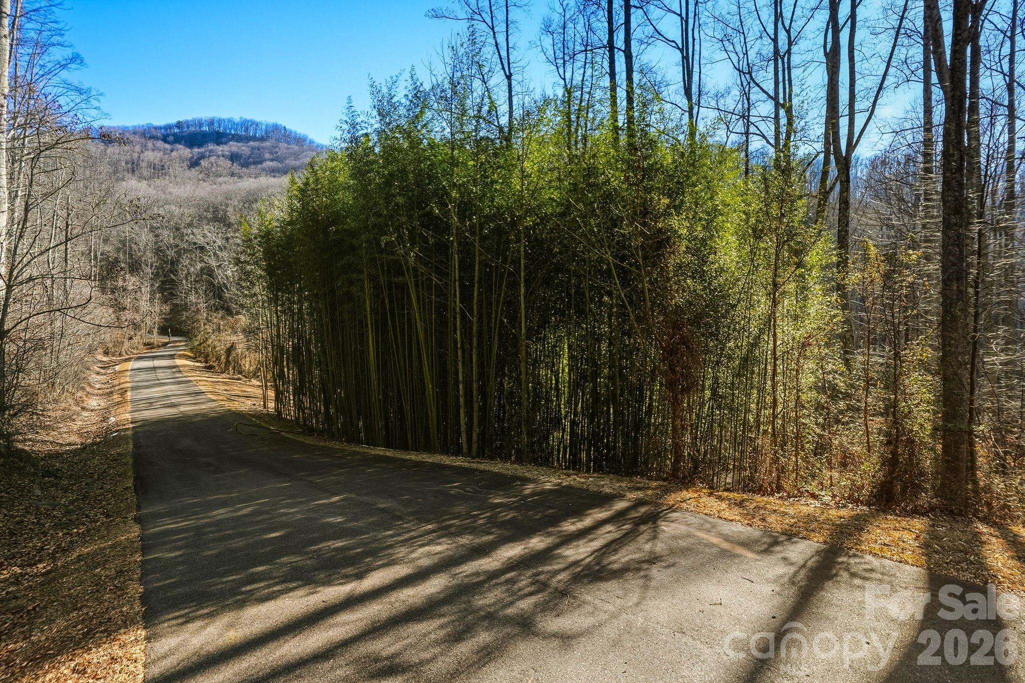 67 Bamboo Trail Candler NC 28715