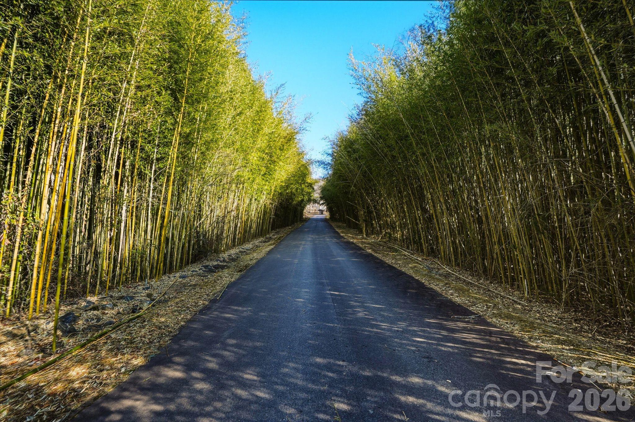 67 Bamboo Trail Candler NC 28715