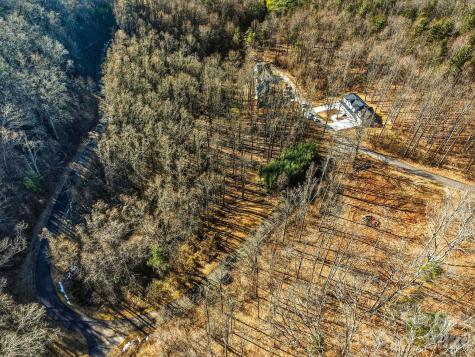 67 Bamboo Trail Candler NC 28715