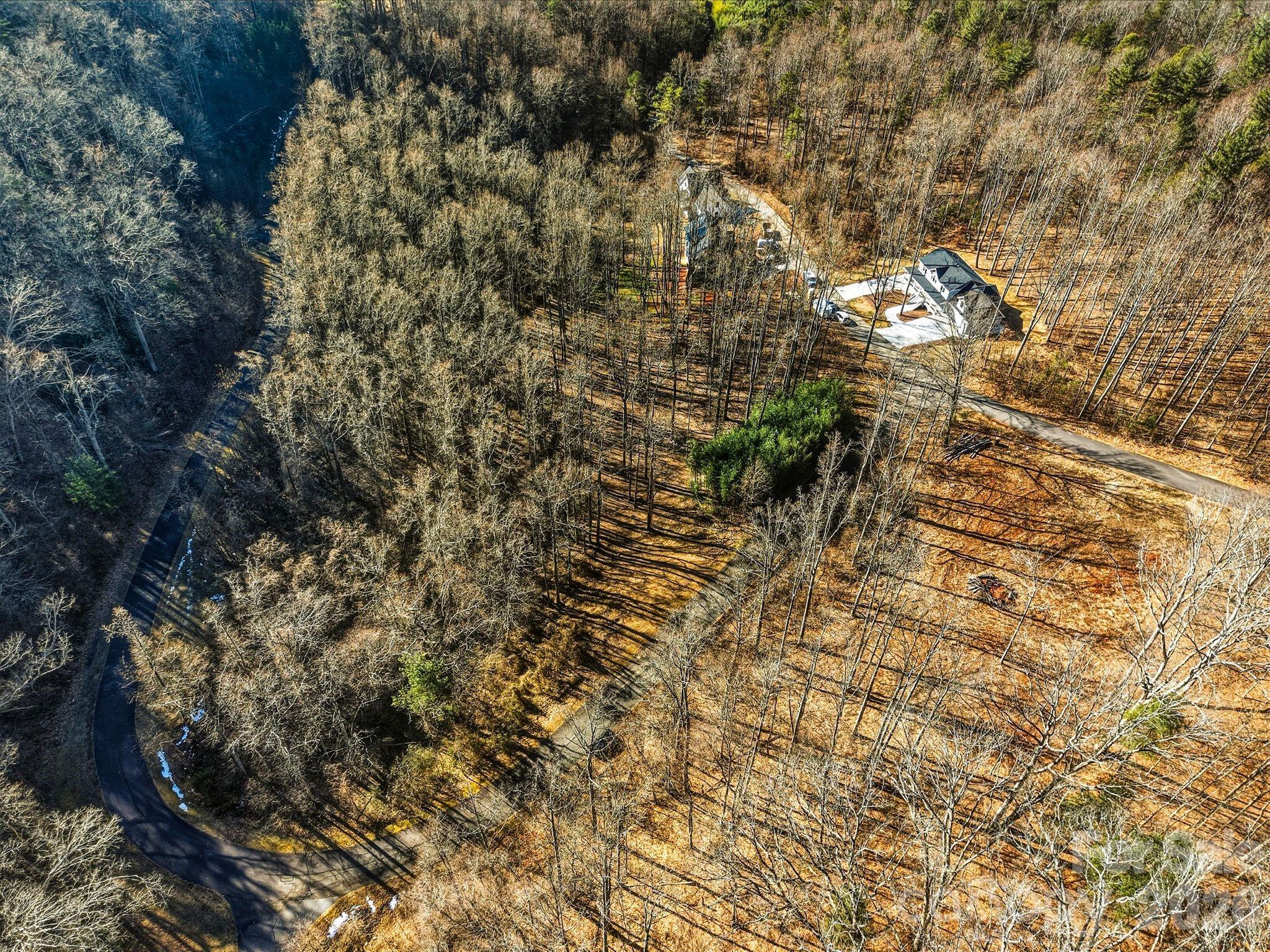 67 Bamboo Trail Candler NC 28715