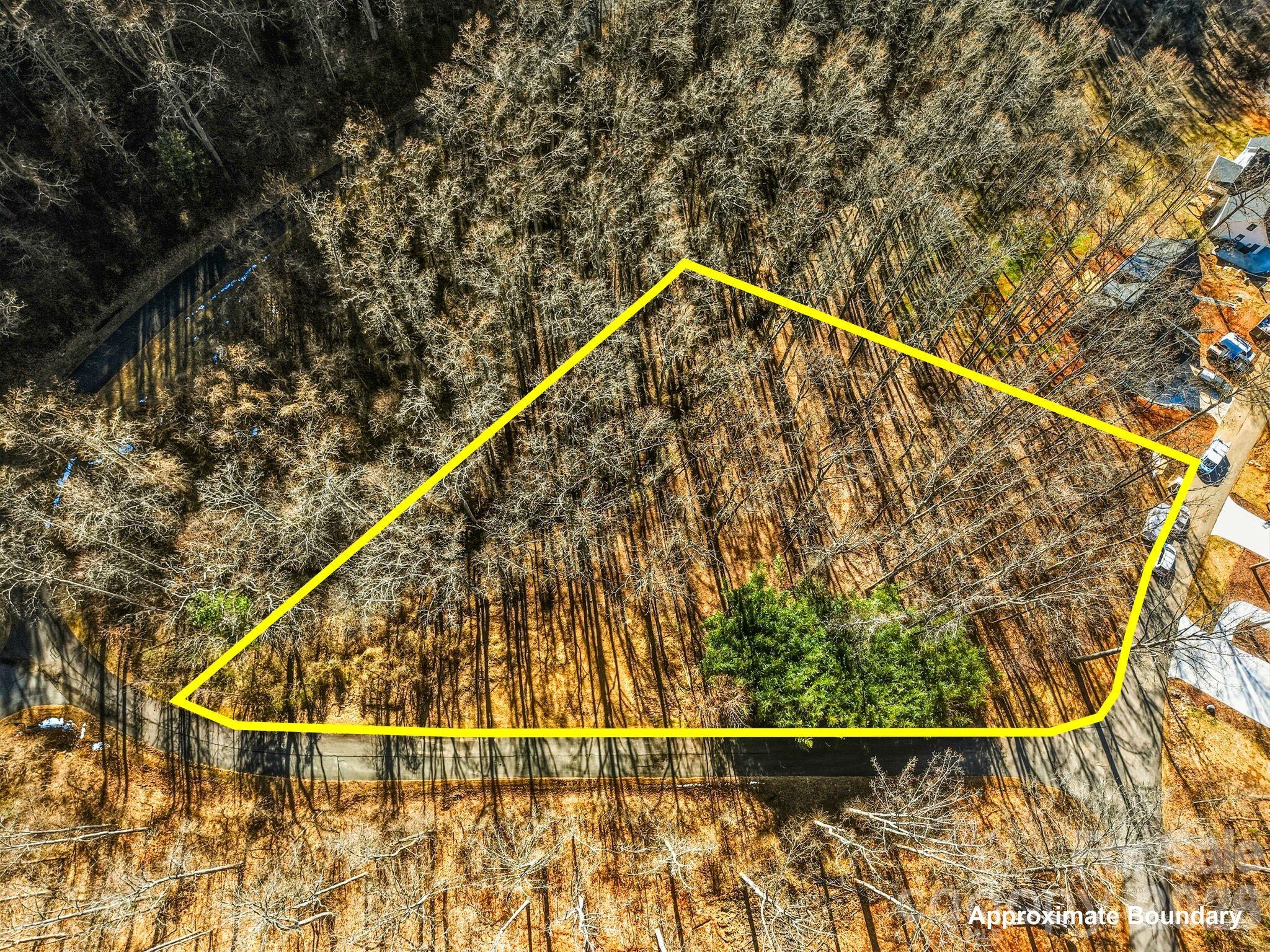 67 Bamboo Trail Candler NC 28715