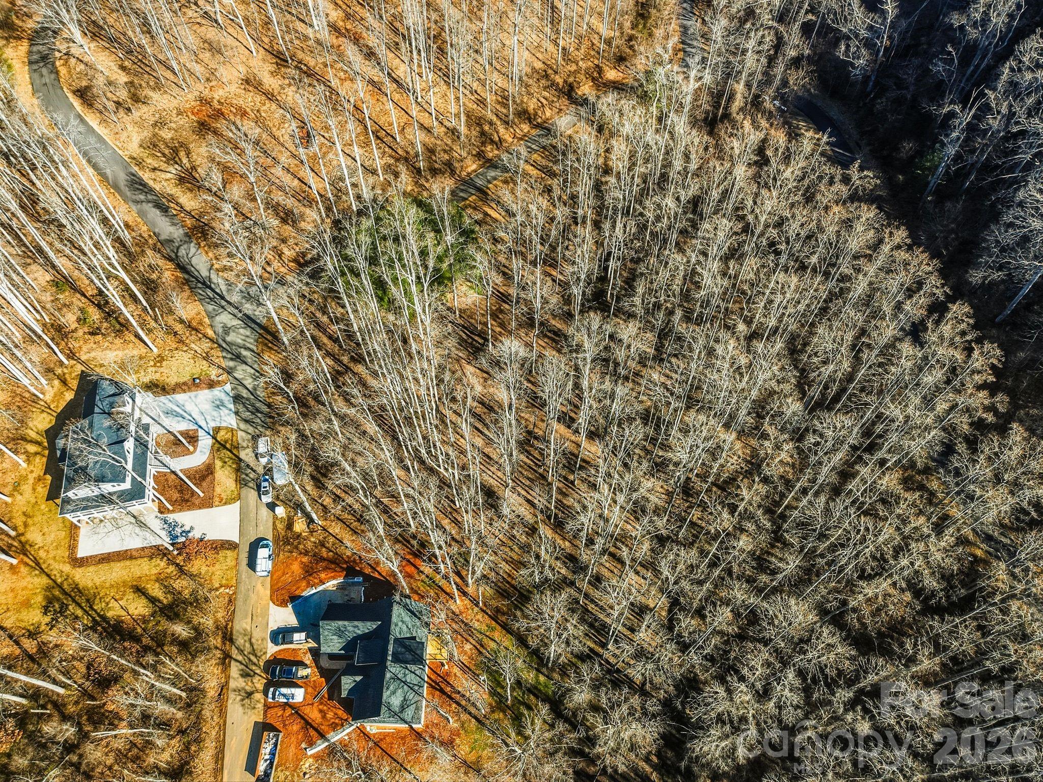 67 Bamboo Trail Candler NC 28715