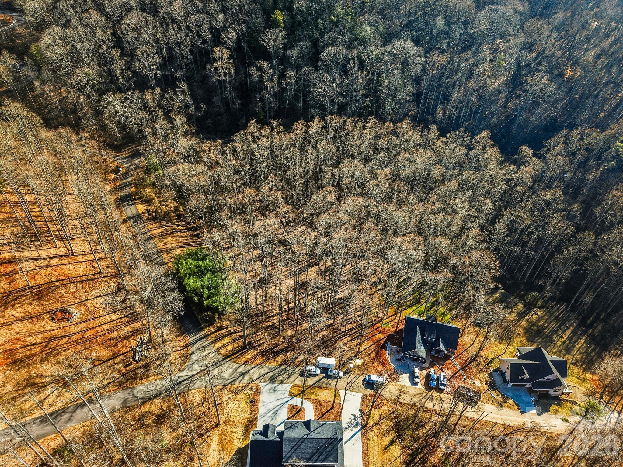 67 Bamboo Trail Candler NC 28715