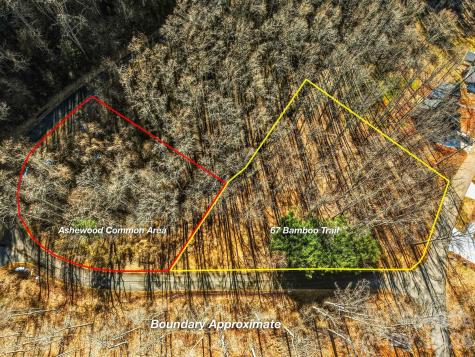 67 Bamboo Trail Candler NC 28715