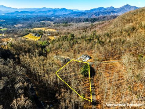 67 Bamboo Trail Candler NC 28715