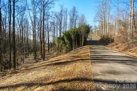 67 Bamboo Trail Candler NC 28715