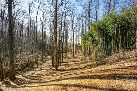 67 Bamboo Trail Candler NC 28715