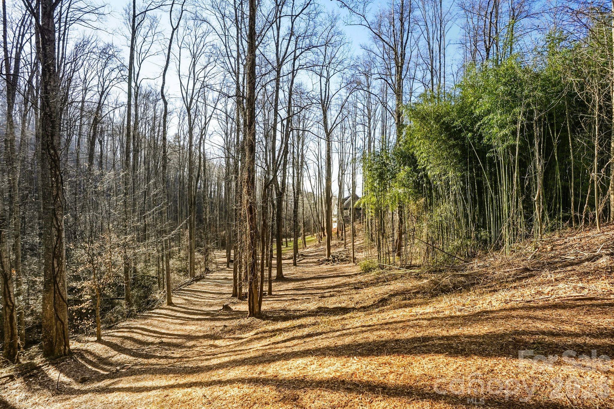 67 Bamboo Trail Candler NC 28715
