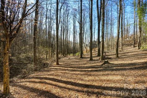 67 Bamboo Trail Candler NC 28715
