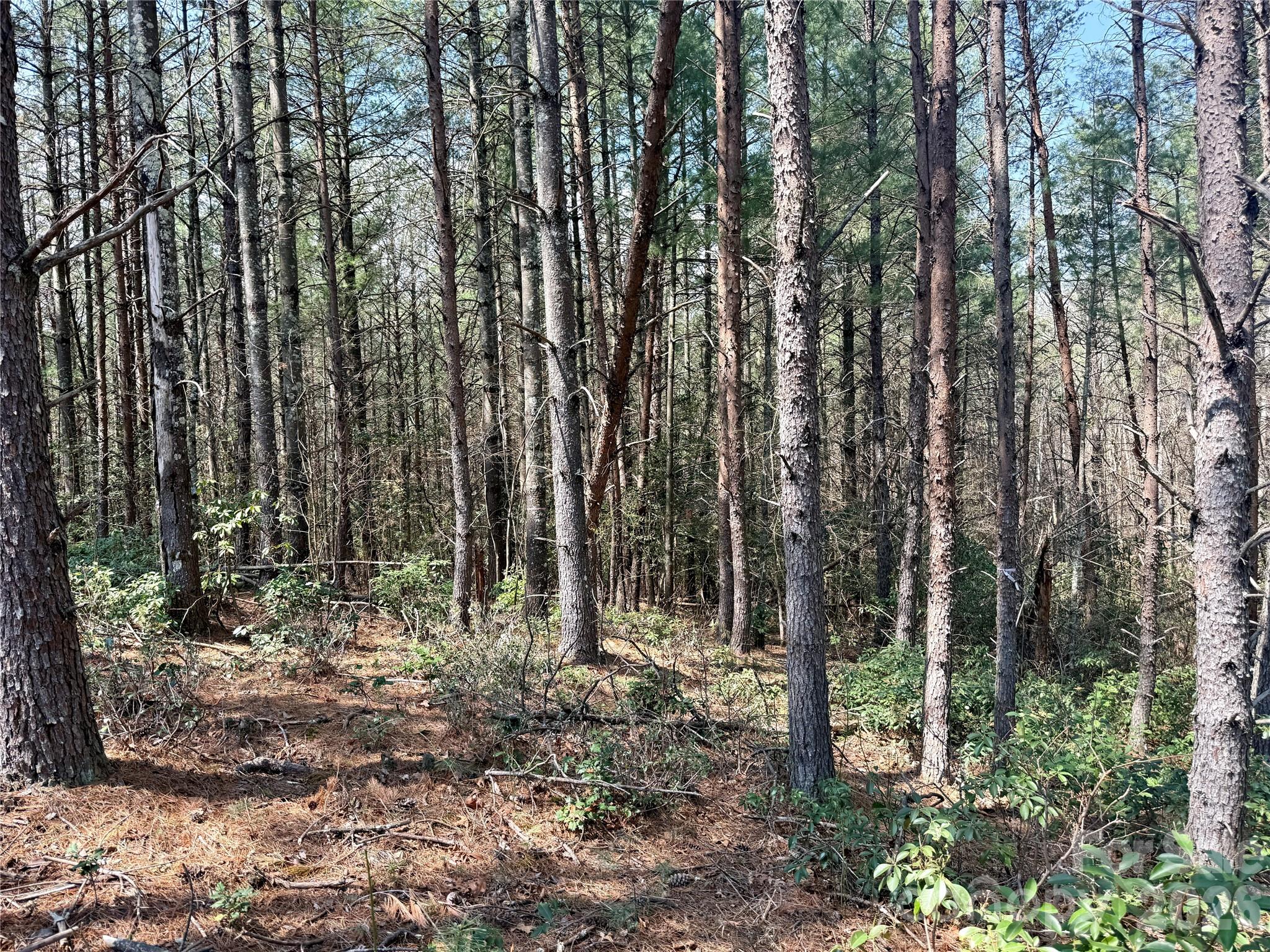 2494 Ivy Rays Way Nebo NC 28761