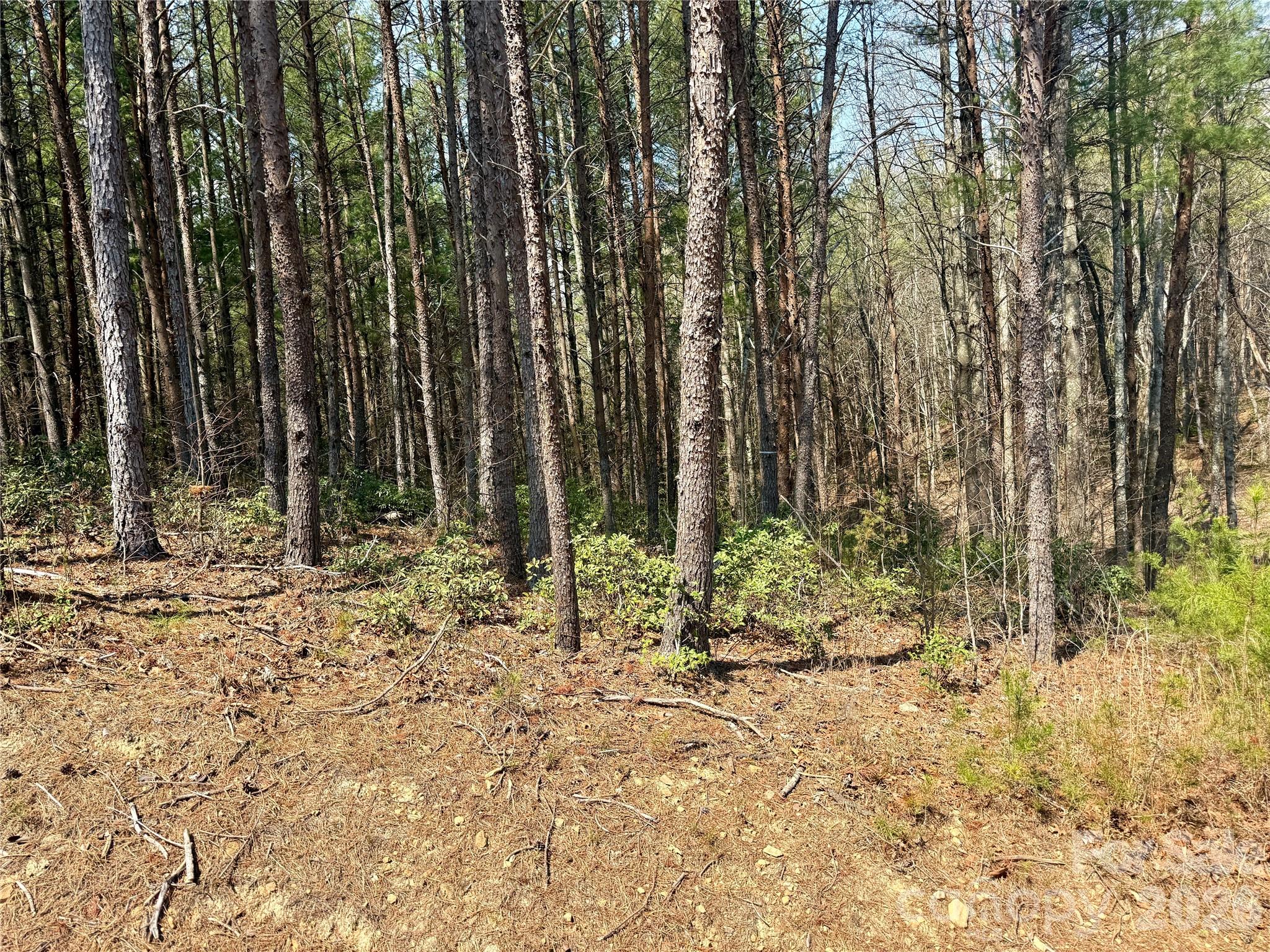 2494 Ivy Rays Way Nebo NC 28761