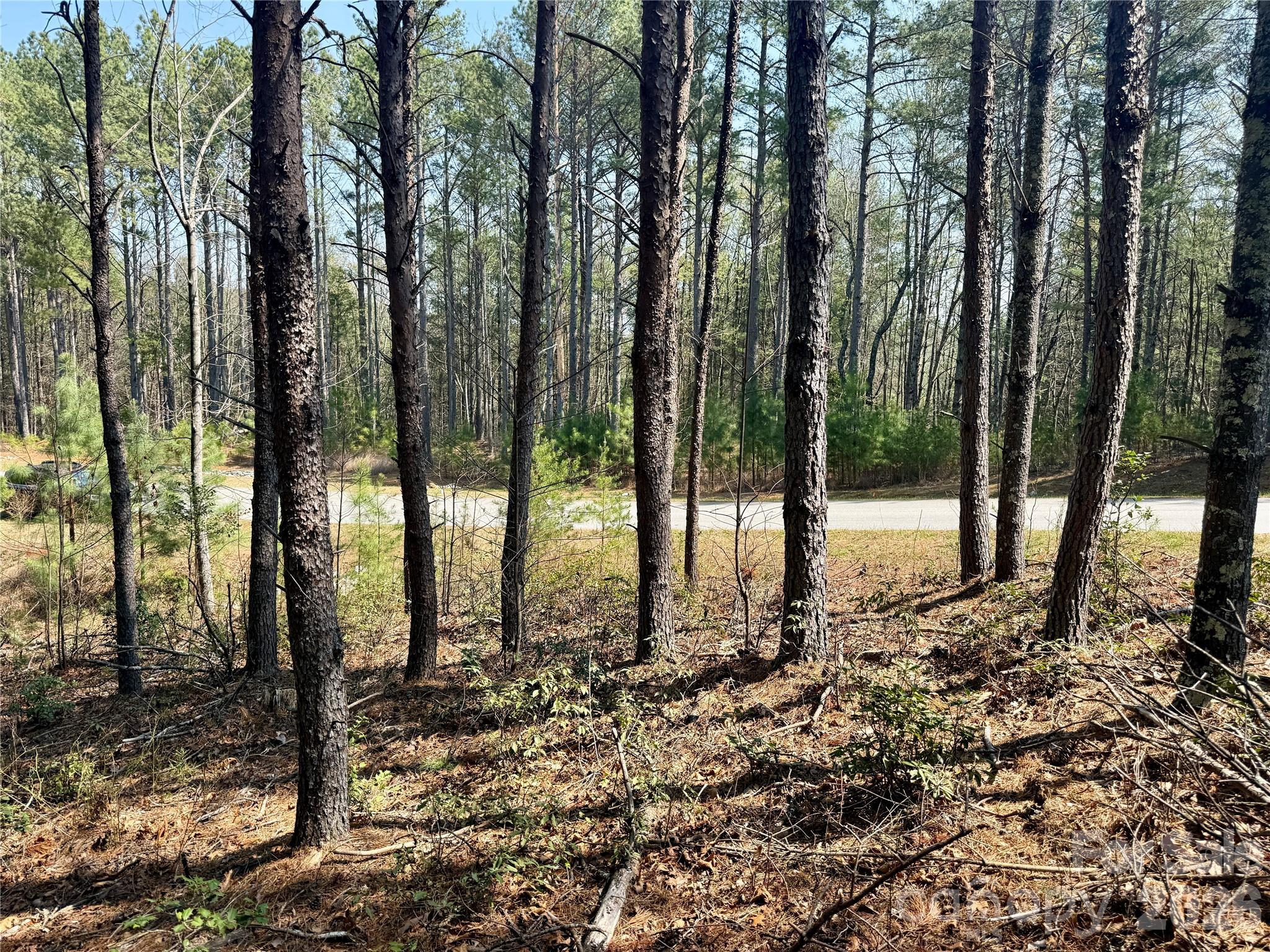 2494 Ivy Rays Way Nebo NC 28761