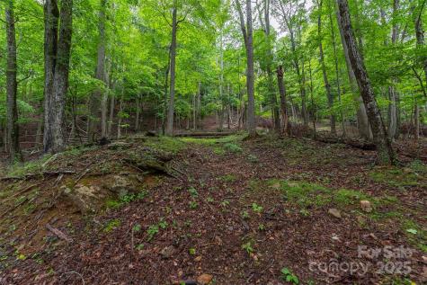 25 Hickory Springs Road Burnsville NC 28714