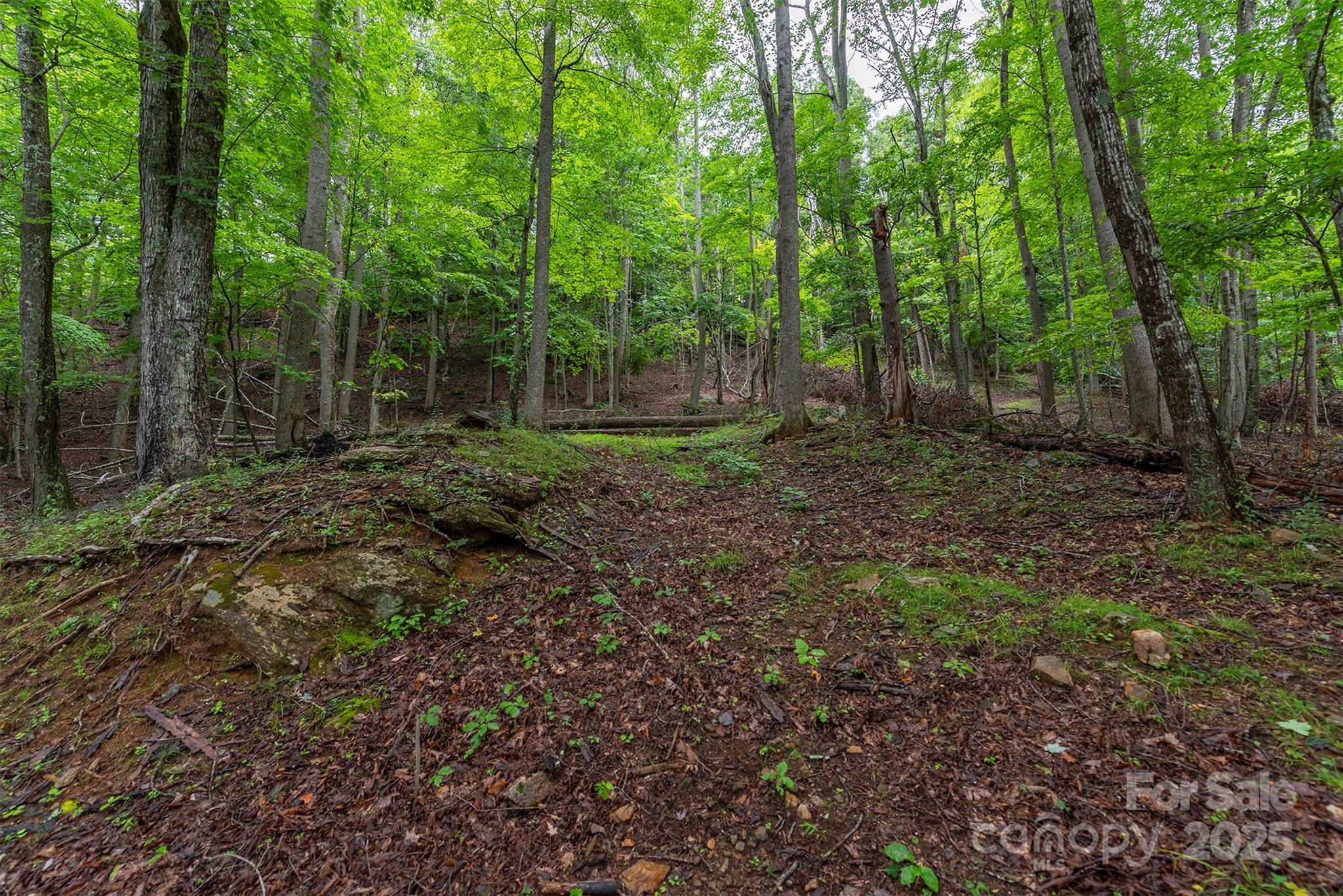25 Hickory Springs Road Burnsville NC 28714
