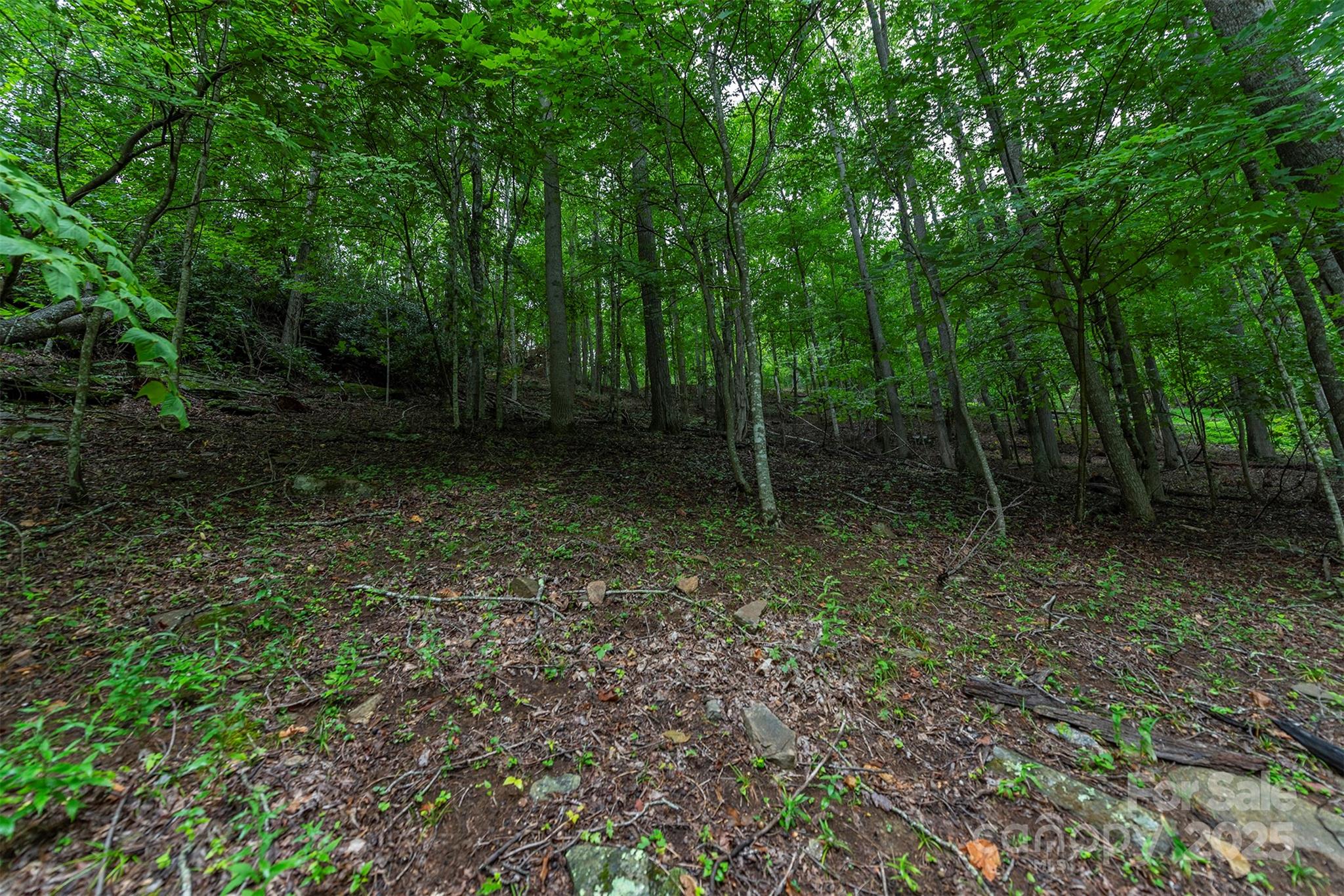 25 Hickory Springs Road Burnsville NC 28714