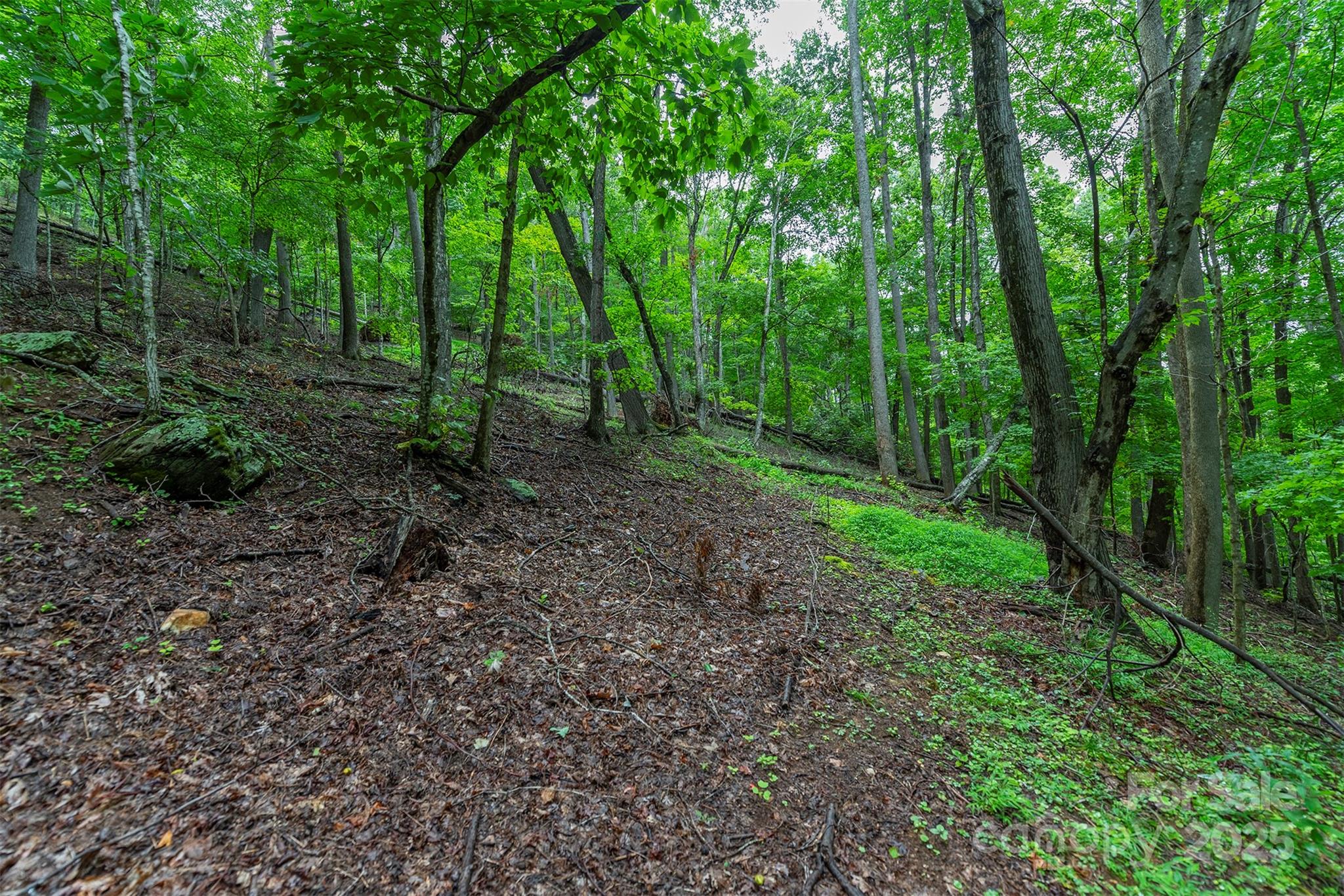 25 Hickory Springs Road Burnsville NC 28714