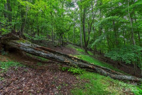 25 Hickory Springs Road Burnsville NC 28714