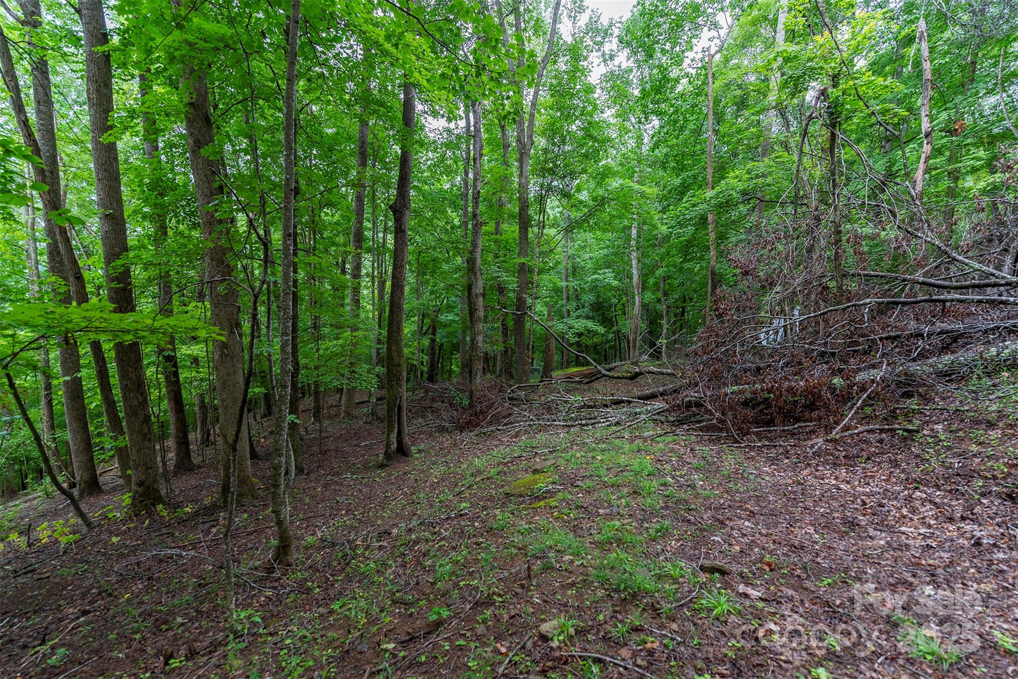 25 Hickory Springs Road Burnsville NC 28714